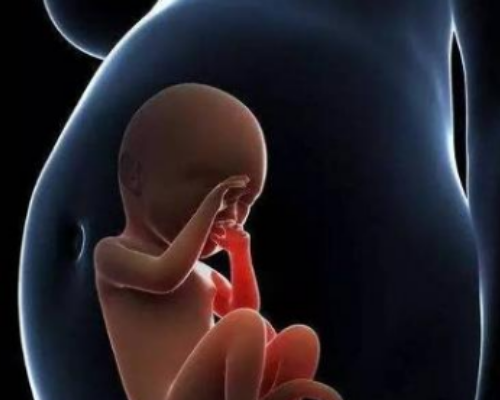 怀孕香港验血结果不一样,2022鞍山市妇女儿童医院试管生双胞胎费用一览，附试