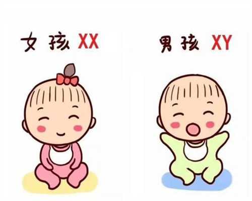 香港怎么验血看男女多少钱,厦门正规试管婴儿助孕机构有哪些？