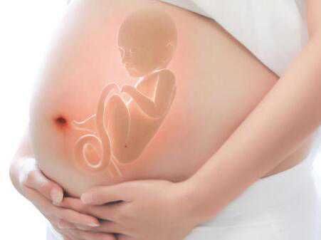 挂过白蛋白的孕妇香港验血有影响吗,备孕时掌握排卵期生男生女由你选