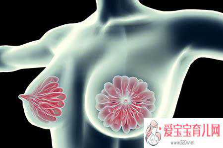 香港验血结果为什么是12点通知,非经期乳房胀痛是不是怀孕了