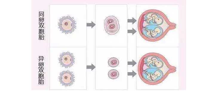 香港验血邮寄血液会变质吗,虹口试管婴儿应该控制多胎，高龄多种胚胎赌成功