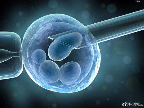 香港验血结果报告,你适合哪种美国试管婴儿方案冷冻胚胎移植还是新鲜胚胎移